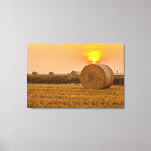 close-up of a hay cylindrical bale in a farmland canvas print