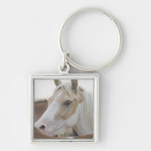 Close up of a herd of horses 2 key ring