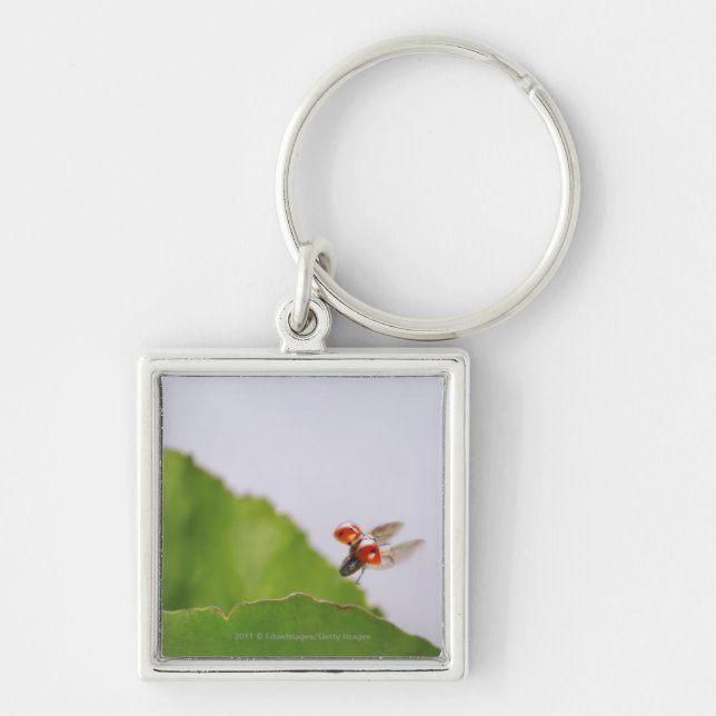 Close-up of a ladybug flying over a leaf key ring (Front)