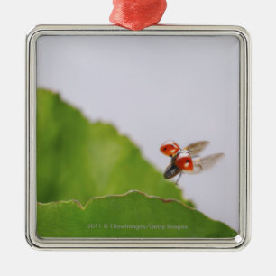 Close-up of a ladybug flying over a leaf metal tree decoration