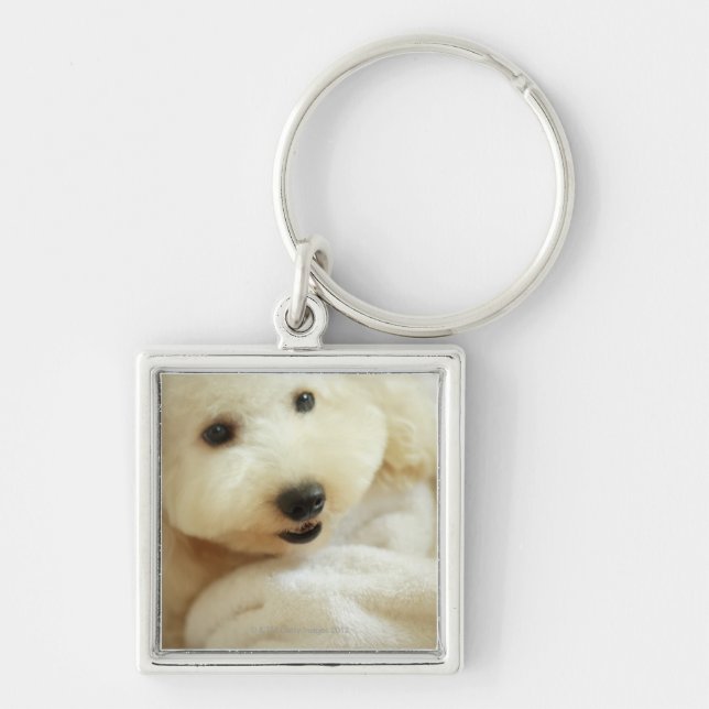 Close-up of a miniature poodle 2 key ring (Front)