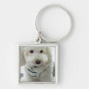 Close-up of a miniature poodle key ring