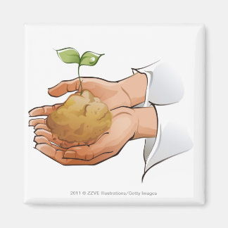 Close-up of a person's hands holding seedling magnet