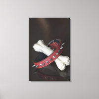 Close-up of a pet collar and a dog bone