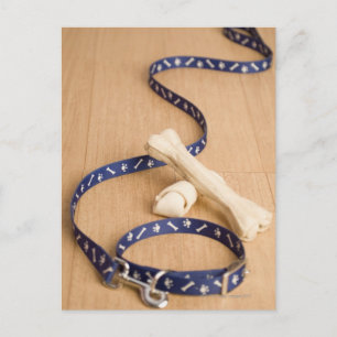 Close-up of a pet collar and a leash with dog postcard
