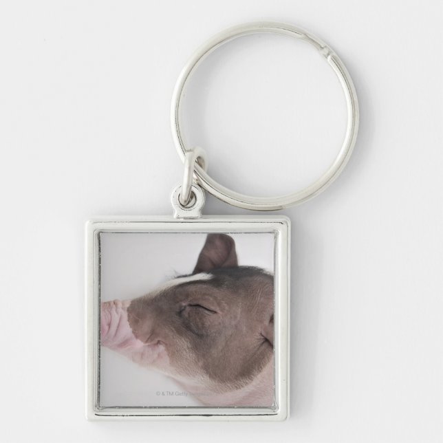 Close-up of a piglet's head, smiling key ring (Front)