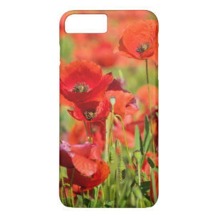 Close-up of a Poppy field, France iPhone 8 Plus/7 Plus Case