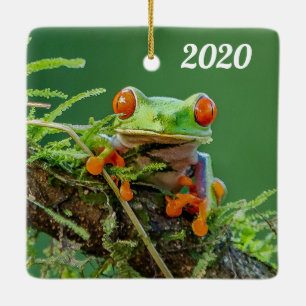 Close up of a Red Eyed Tree Frog on a branch Ceramic Ornament