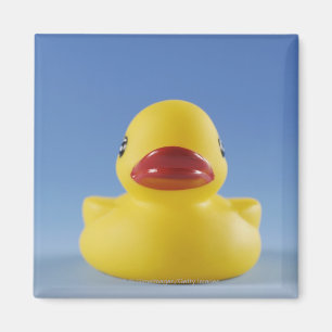 Close-up of a rubber duck magnet