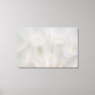 Close up of a seed head, Canada Canvas Print