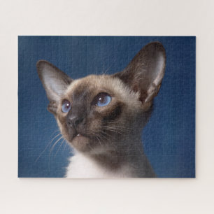Close up of a Siamese Cat with Blue Eyes Jigsaw Puzzle