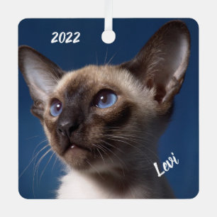 Close up of a Siamese Cat with Blue Eyes Metal Tree Decoration