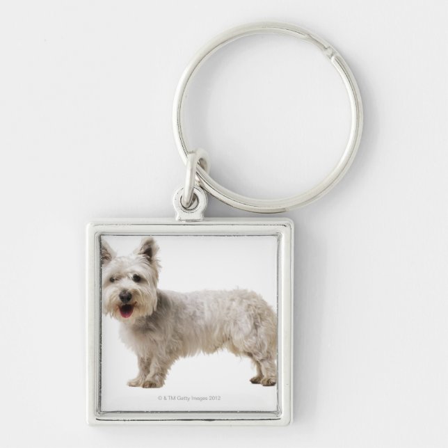 Close up of a terrier key ring (Front)
