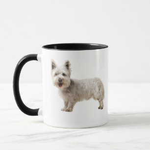 Close up of a terrier mug