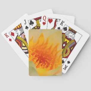 Close-Up Of A Water Lily Playing Cards