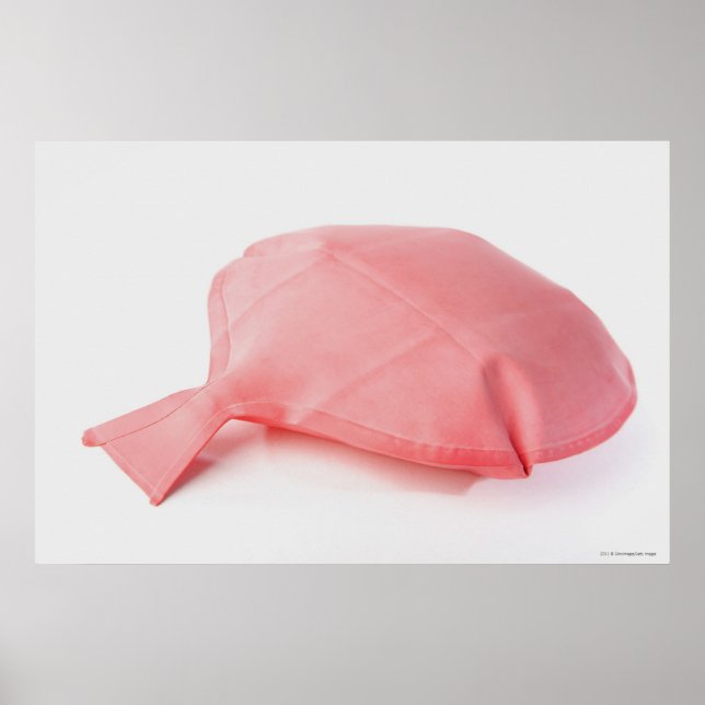 Close-up of a whoopee cushion poster (Front)