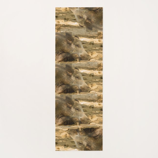close-up of a wild boar on yoga mat (Back)