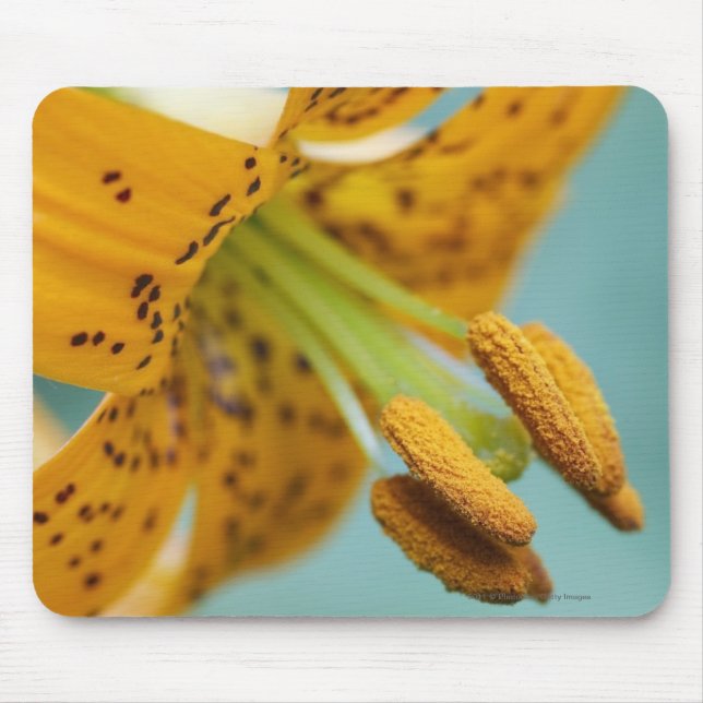 Close Up of a Yellow Lily Mouse Pad (Front)