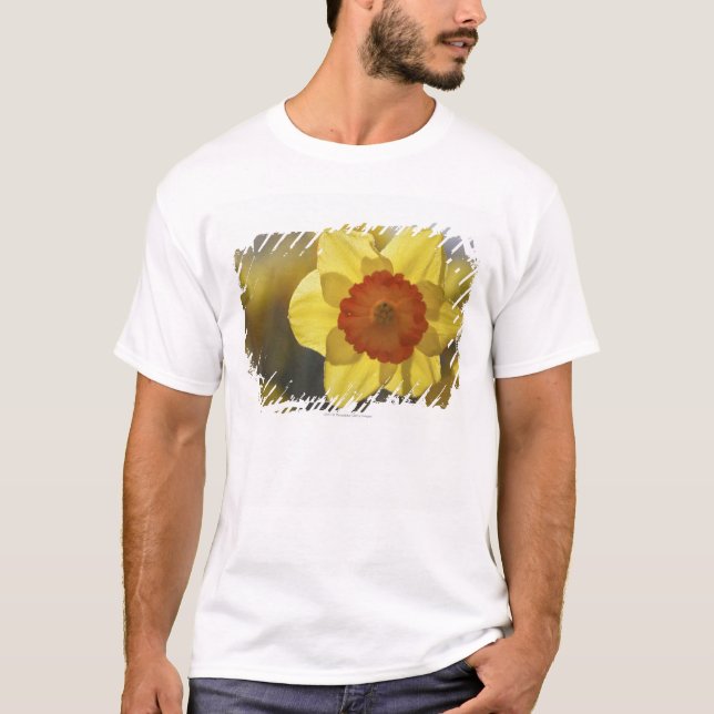 Close Up of a Yellow/Orange Daffodil T-Shirt (Front)