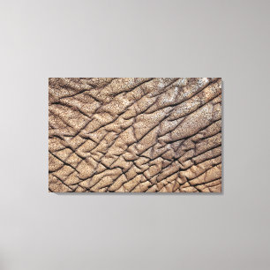 Close-Up Of African Elephant's Hide Canvas Print