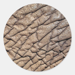 Close-Up Of African Elephant's Hide Classic Round Sticker