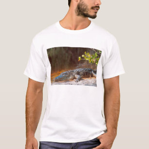 Close up of an american alligator at the J.N. T-Shirt