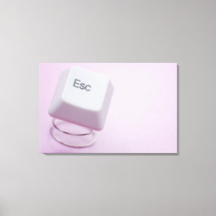 Close-up of an escape key canvas print
