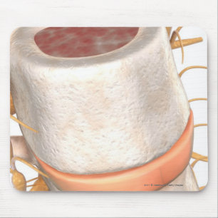 Close up of an invertebral disc in the spine mouse pad