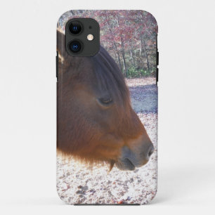 Close up of Brown horse, Little Brown Pony Case-Mate iPhone Case