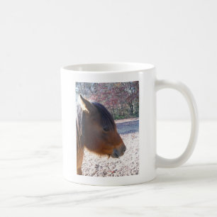 Close up of Brown horse, Little Brown Pony Coffee Mug