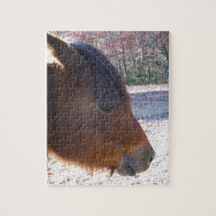 Close up of Brown horse, Little Brown Pony Jigsaw Puzzle