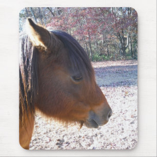 Close up of Brown horse, Little Brown Pony Mouse Pad