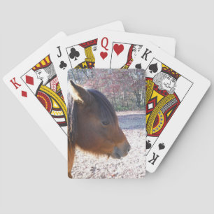 Close up of Brown horse, Little Brown Pony Playing Cards