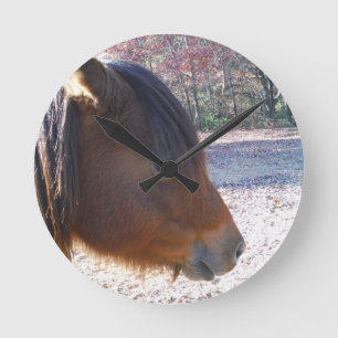 Close up of Brown horse, Little Brown Pony Round Clock