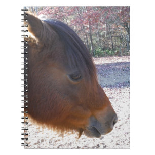 Close up of Brown horse, Little Brown Pony Spiral Notebook