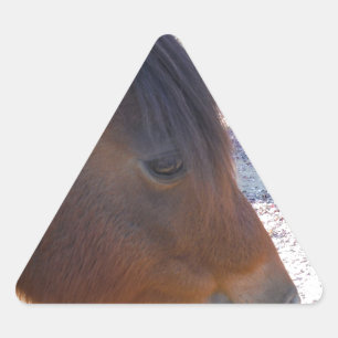 Close up of Brown horse, Little Brown Pony Triangle Sticker