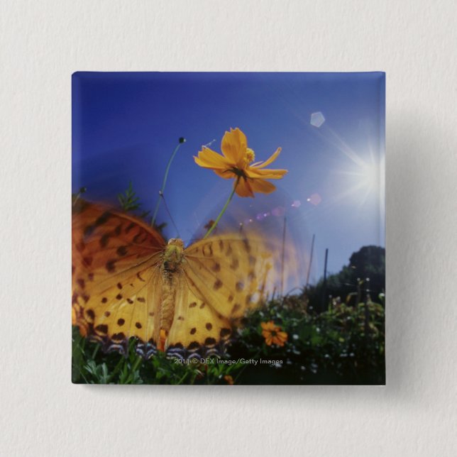 Close-up of Butterfly, flapping wings 15 Cm Square Badge (Front)