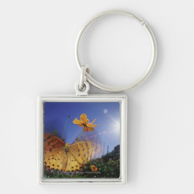 Close-up of butterfly, flapping wings key ring (Front)