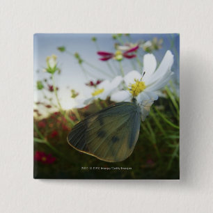 Close-up of butterfly on flower 15 cm square badge