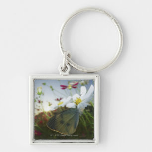 Close-up of butterfly on flower key ring