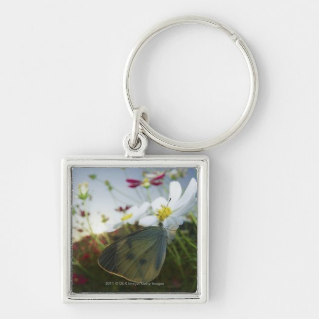 Close-up of butterfly on flower key ring (Front)