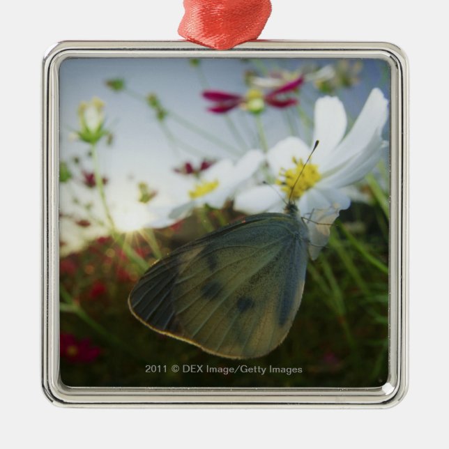 Close-up of butterfly on flower metal tree decoration (Front)