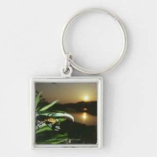 Close-up of Butterfly on leaf at sunset Key Ring