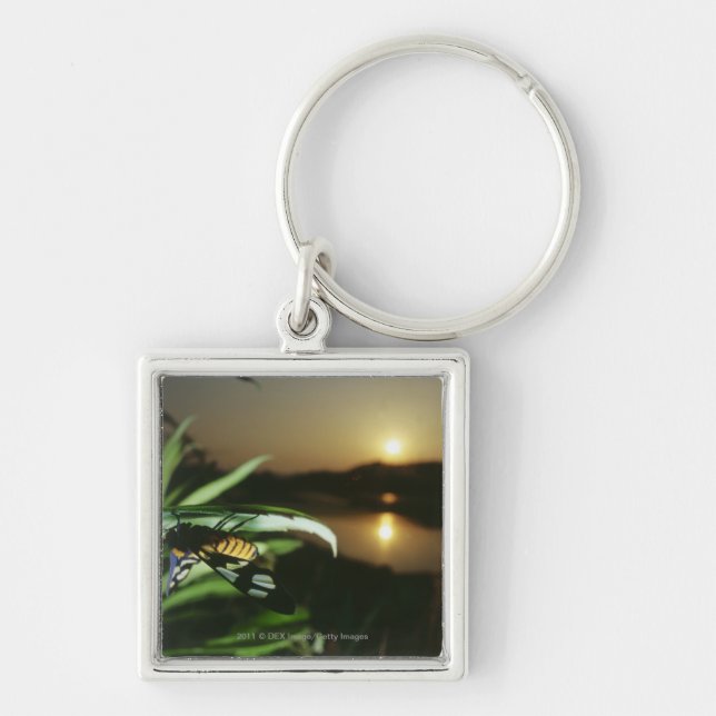 Close-up of Butterfly on leaf at sunset Key Ring (Front)