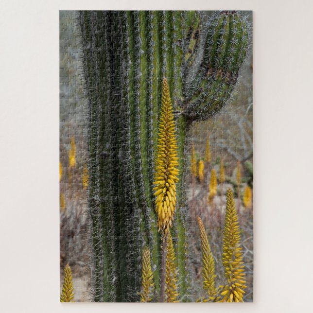 Close Up Of Cactus And Agave Jigsaw Puzzle (Vertical)