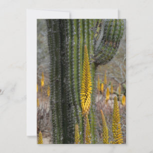 Close Up Of Cactus And Agave Thank You Card