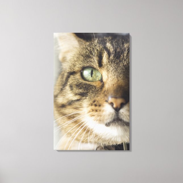 Close-up of cat (focus on eye) canvas print (Front)