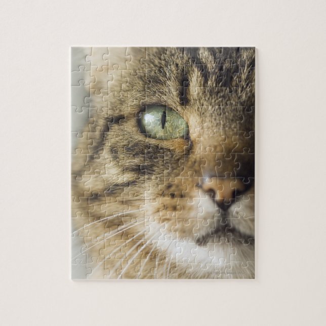 Close-up of cat (focus on eye) jigsaw puzzle (Vertical)