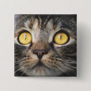 Close-up of Cat with Yellow Eyes 15 Cm Square Badge