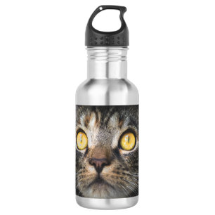 Close-up of Cat with Yellow Eyes 532 Ml Water Bottle